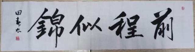 田春太 |田春太,书法田春太,书画田春太,锦润堂主人书画艺术家