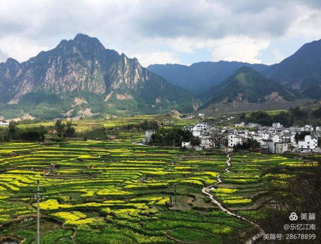 李昶阳 |李昶阳，上海市老年摄影家协会会员书画艺术家