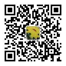 邵礼 |邵礼，书画家，艺术家书画艺术家