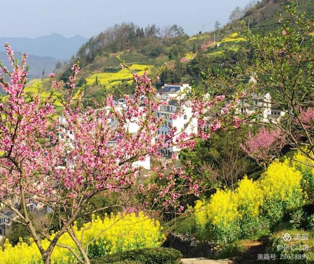 李昶阳 |李昶阳，上海市老年摄影家协会会员书画艺术家