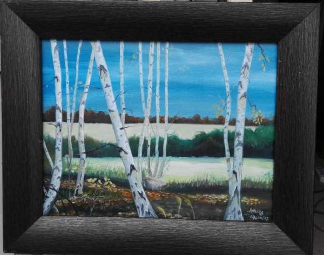 阿木尔 |阿木,尔,个人简介,阿木,尔,是,蒙古族,1975年,书画艺术家