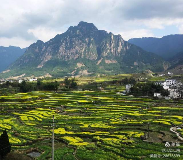 李昶阳 |李昶阳，上海市老年摄影家协会会员书画艺术家