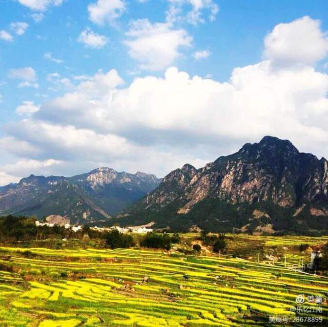 李昶阳 |李昶阳，上海市老年摄影家协会会员书画艺术家