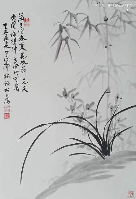 林皓 |林皓书画艺术家