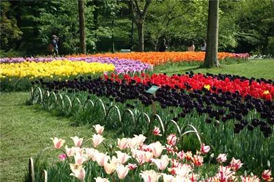 李昶阳 |李昶阳，上海市老年摄影家协会会员书画艺术家