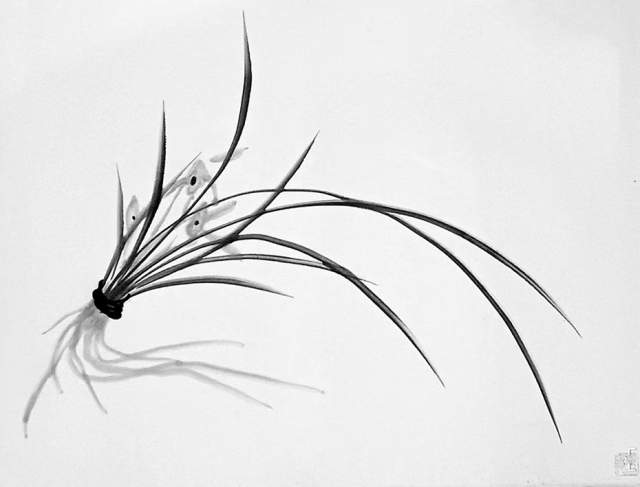 林皓 |林皓书画艺术家