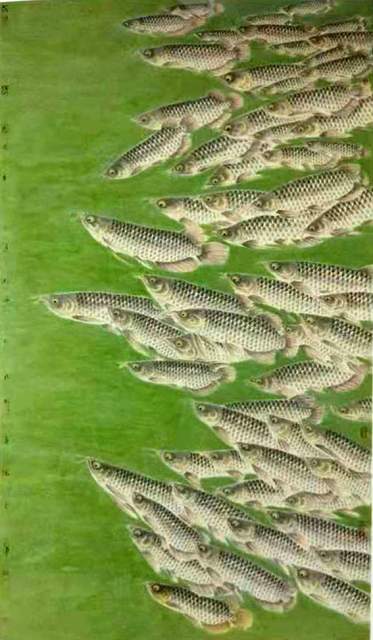 鲁强 |鲁强书画艺术家