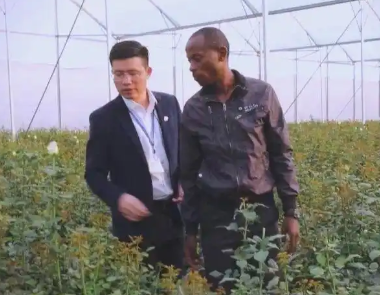 杨涛：Kilimall创始人 在东非草原架起数字丝路的电商拓荒者